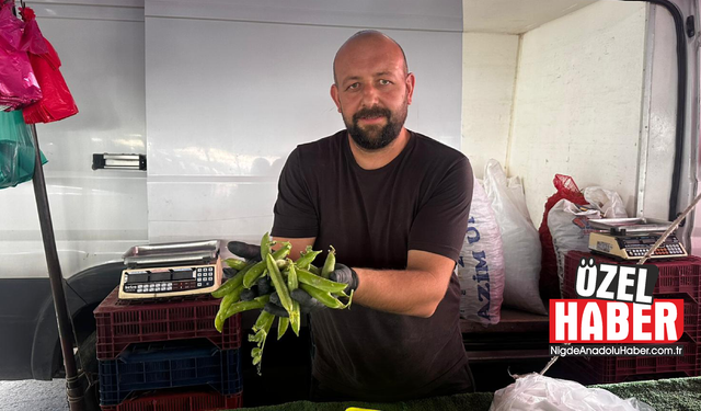 Çamardı bezelyesinde sezon sonu fiyatı artırdı