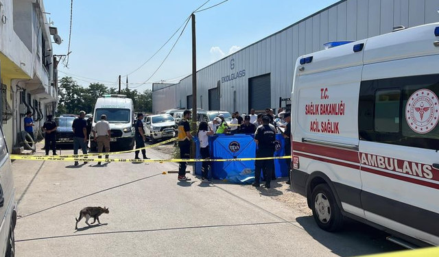 Dehşet saçan koca katliam yaptı
