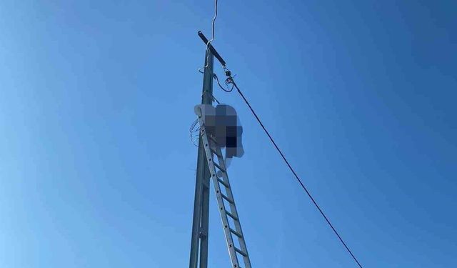 Çıktığı elektrik direğinde akıma kapıldı