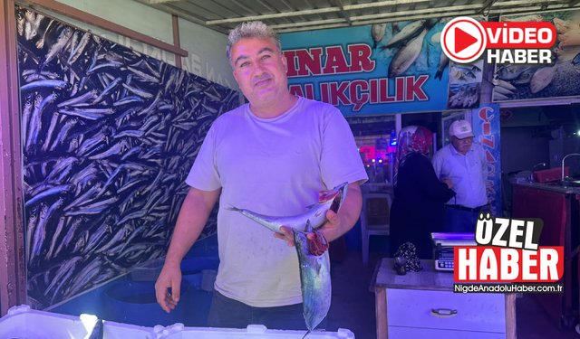 Niğde'de balık tezgahlarında sezon hareketliliği başladı