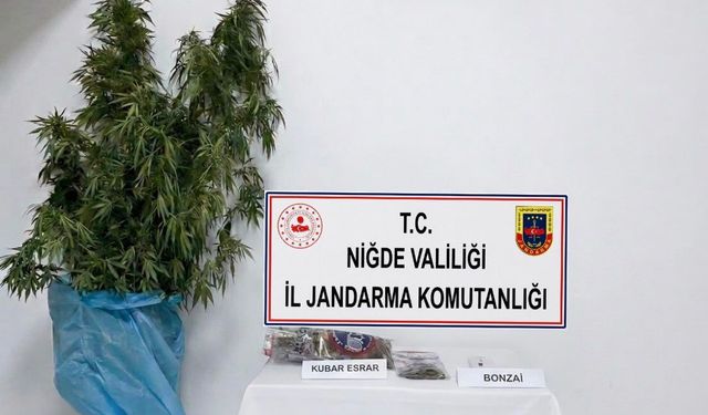 Kemerhisar’da uyuşturucu operasyonu