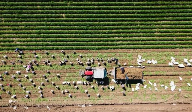 Milyarlarca Liralık Hibe Paketi Açıklandı