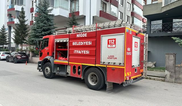 Niğde'de restoranın mutfağında çıkan yargın korkuttu