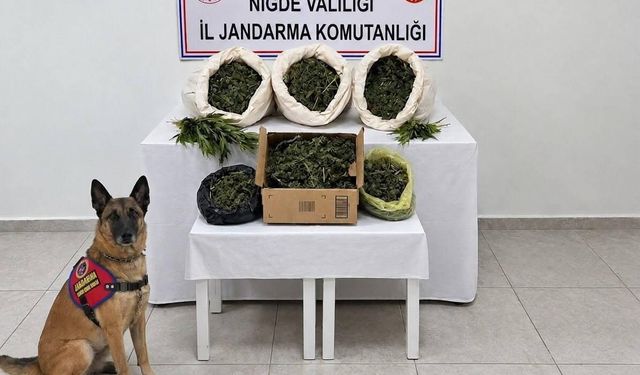 Niğde’de 10 kilo esrar ve 44 kök kenevir ele geçirildi