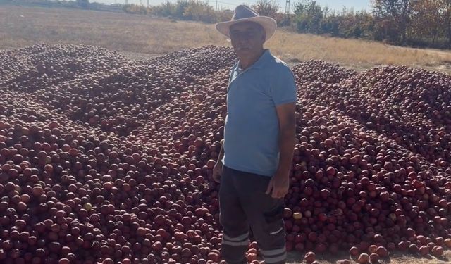 Niğde’de elma üreticisi bahçesini söküyor