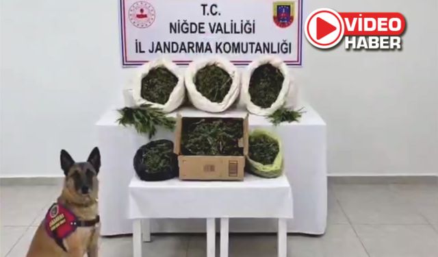 32 ilde dev operasyon! Yüzlerce şüpheli yakalandı
