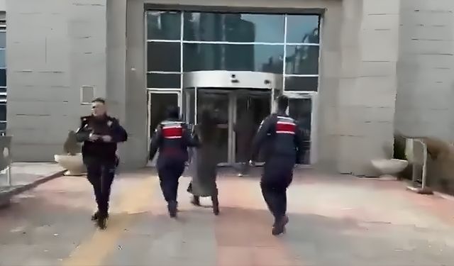 Çocuklara saldıran pitbullun sahibi tutuklandı