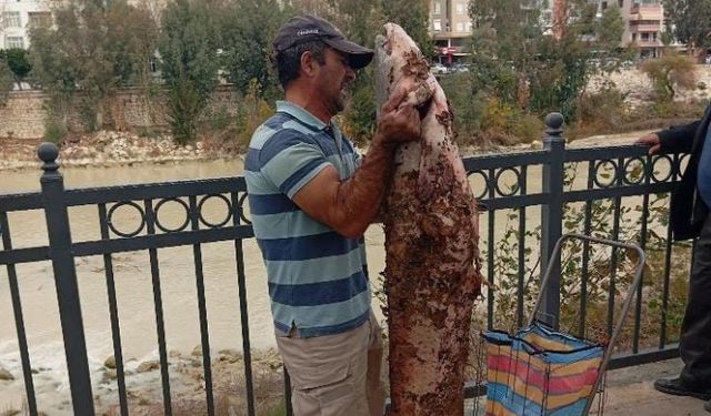 DEV YAYIN BALIGINI ELLERİYLE YAKALADI