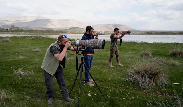 KUŞ FOTOĞRAFI AVCILARI NİĞDE’DE