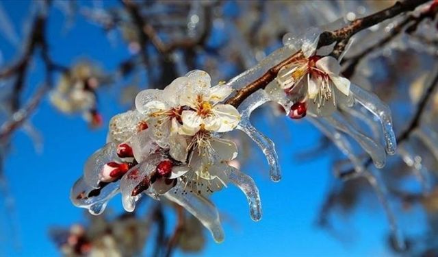 Meteoroloji’den kritik uyarı! 