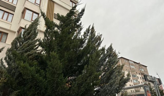 Niğde'de bugün hava nasıl olacak? Saatlik hava durumu