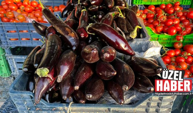 Niğde'de patlıcan fiyatları rekor seviyeye ulaştı