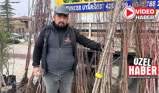 Niğde’de fidan sezonu hareketlendi