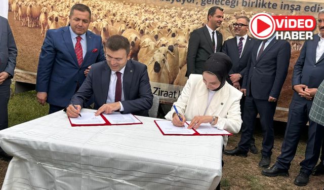 Niğde'de Küçükbaş Hayvancılıkta Tarihi Adım