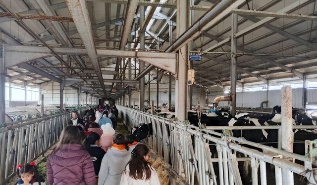 Niğde’de Minik Öğrenciler Tarımla Tanıştı