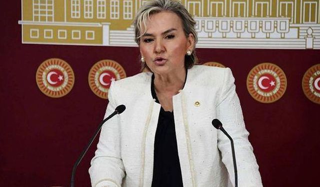 Nimet Özdemir kimdir? CHP'den ayrılan İstanbul Milletvekili hakkında merak edilenler