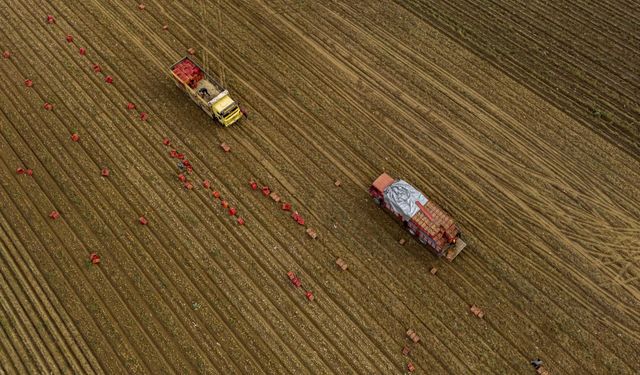 Tarım Üretici Fiyatlarında Mart ayı artışı belli oldu