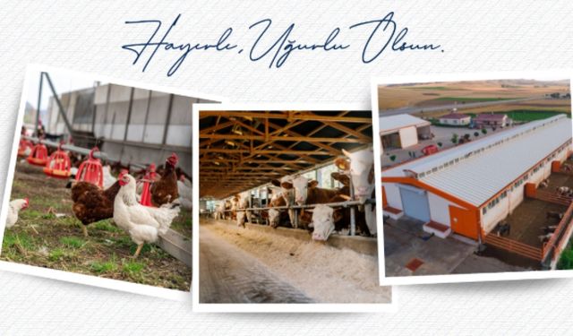 Tarımsal üretime dev hibe desteği