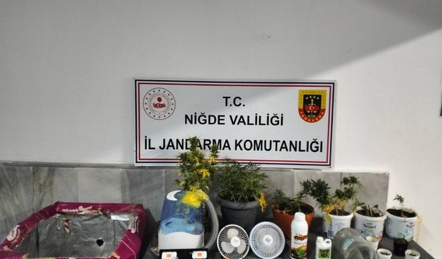 Ulukışla’da uyuşturucu operasyonu! 