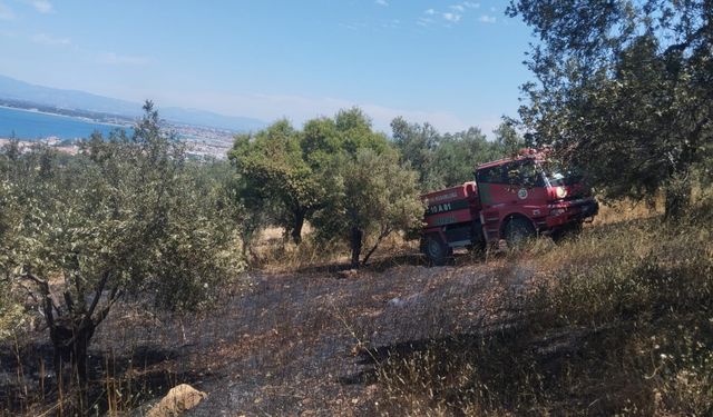 Yangına havadan ve karadan müdahale sürüyor