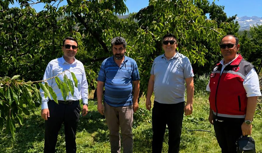 İl Müdürü Furkan Mete Emirler Köyünde Kiraz Hasadını İnceledi