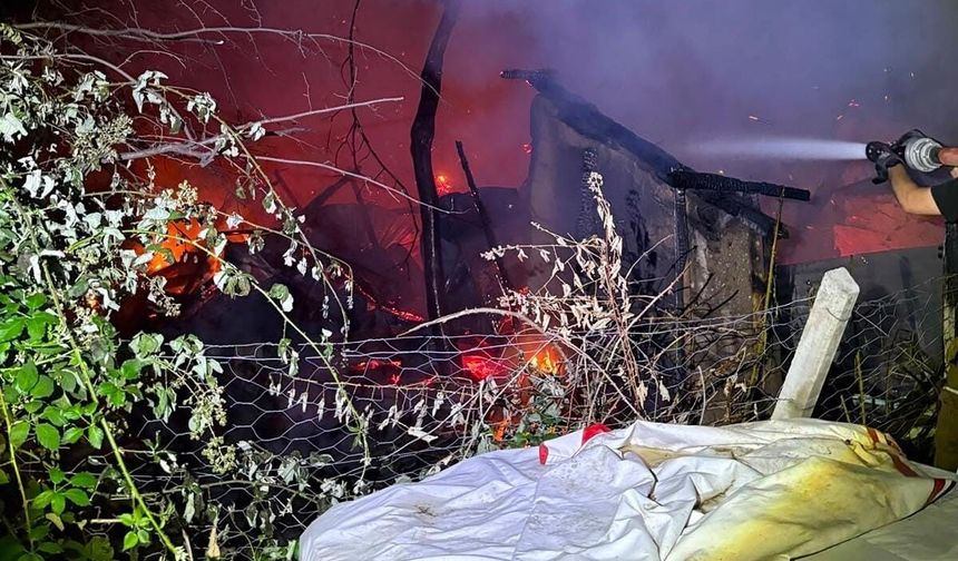 Gece Yarısı Gelen Patlama Sesinin Ardından Acı Gerçek Ortaya Çıktı