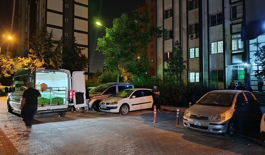 Son 24 saatte yaşananlar dehşete düşürdü