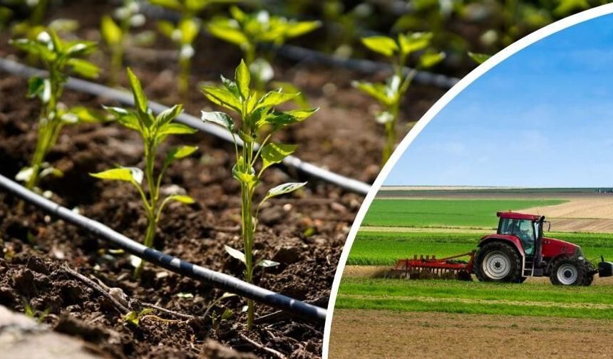 Üreticiye dev destek! Ödemeler hesaplara geçti