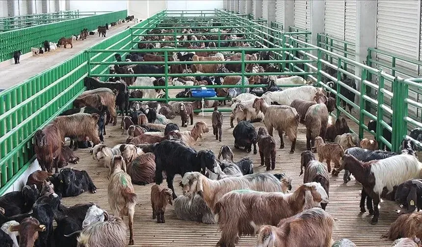 Çiftçiler ve yatırımcılar için yeni dönem