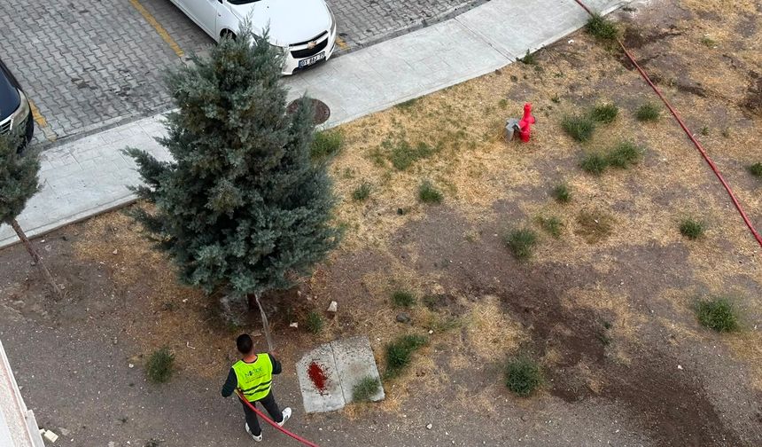 Niğde Belediyesi'nden yeşil alanlarda yaz sulaması