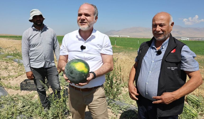NÖHÜ’de 51 bin fidenin hasadı yapıldı