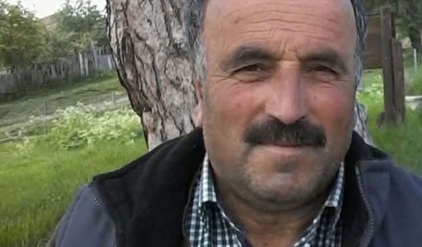 Üzerine ağaç devrilen işçi hayatını kaybetti