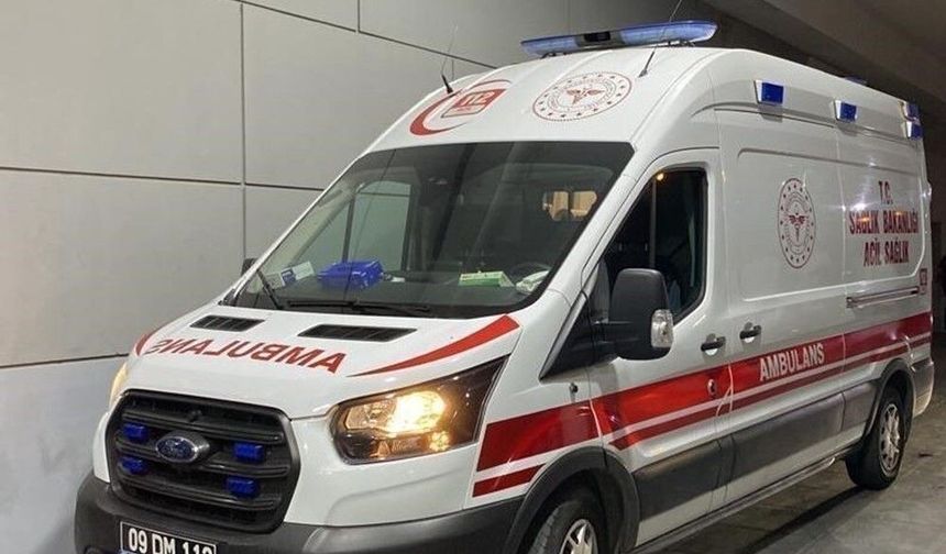 Bahçeye hava almaya çıktı, oğlunu ağaçta buldu