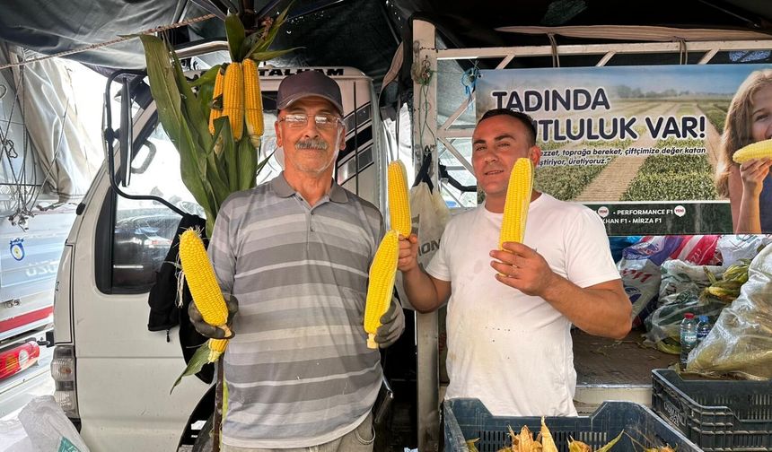 Ereğli tarlasından Niğde tezgâhına