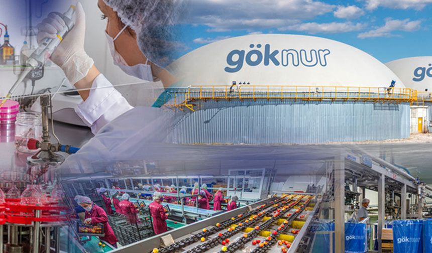 Göknur A.Ş.'nin kayyım kararı kaldırıldı