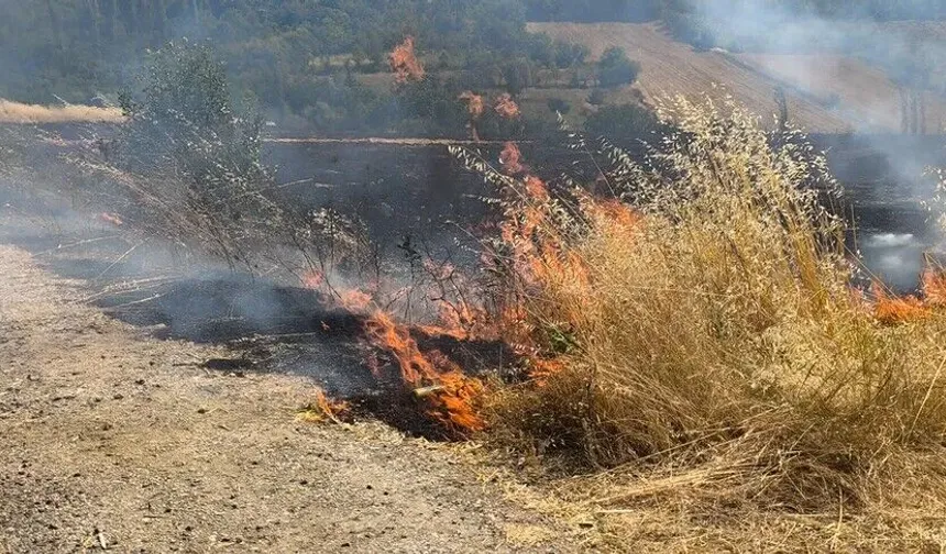 Anızı yakmak yerine toprağa kazandırın çağrısı
