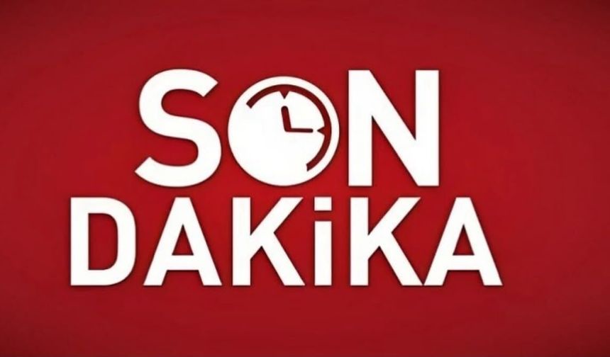 Yeğenini kurtarmak isterken canından oldu