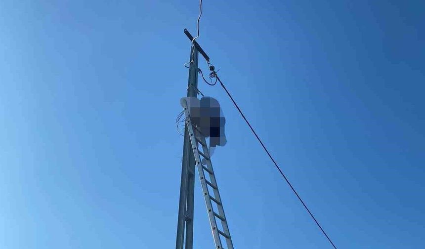 Çıktığı elektrik direğinde akıma kapıldı