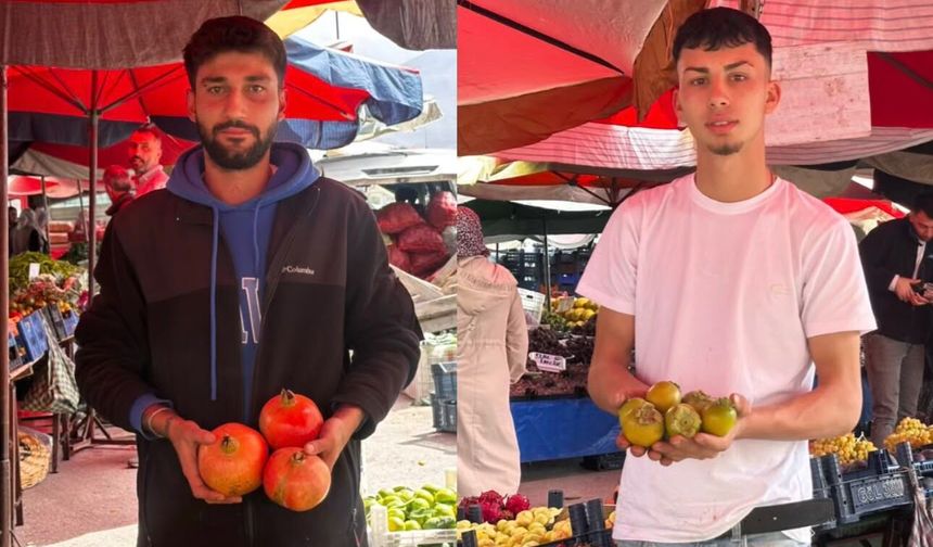 Nar ve taş hurma pazardaki yerini aldı