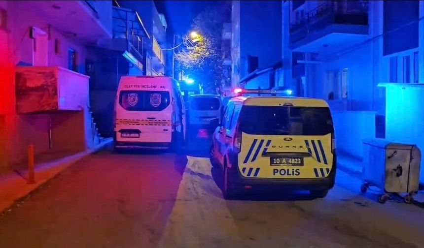 Kardeş kavgası kanlı bitti