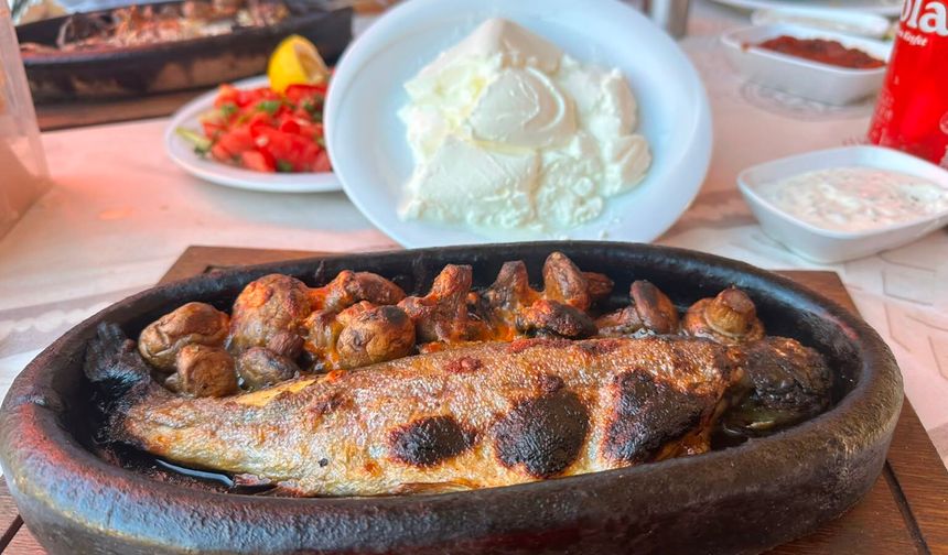 Balık ve yoğurt birlikte yenir mi?
