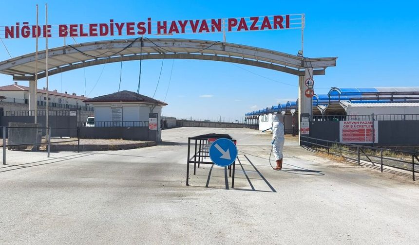 Niğde Belediyesi’nden Şap Hastalığına karşı sıkı önlem