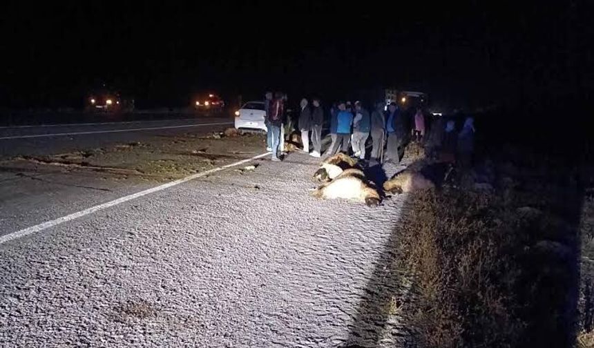 Gece yarısı can pazarı
