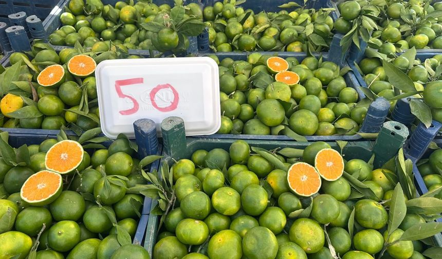Mandalina Niğde’de satışa çıktı