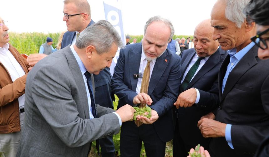 NÖHÜ’de silajlık soya fasulyesi denemeleri tamamlandı