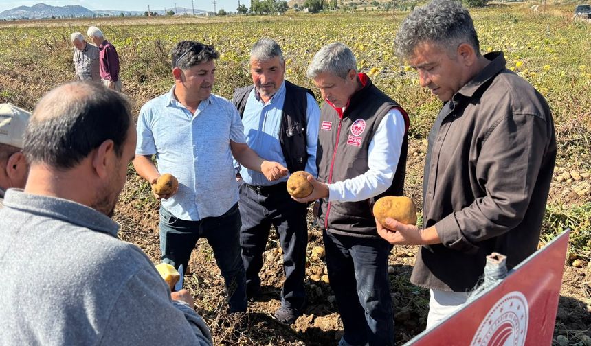 Nevşehir'de yerli ve millî patates çeşitlerinin hasadı yapıldı