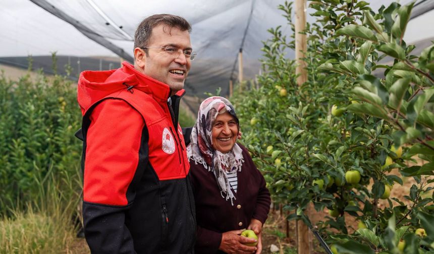 Vali Nedim Akmeşe elma hasadına katıldı