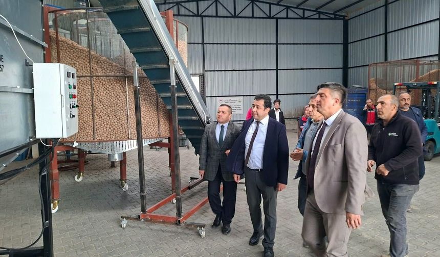 Vali Yardımcısı Arık ve İl Müdürü Mete’den Kemerhisar’daki ceviz işleme tesisine ziyaret