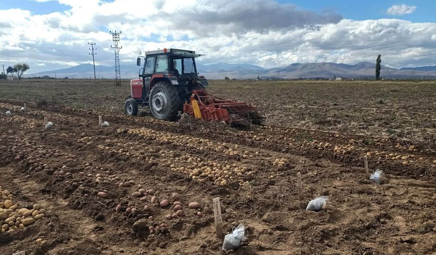 Patates Araştırma Enstitüsü’nden Patates Altın Kist Nematoduna karşı yerli ve milli hamle
