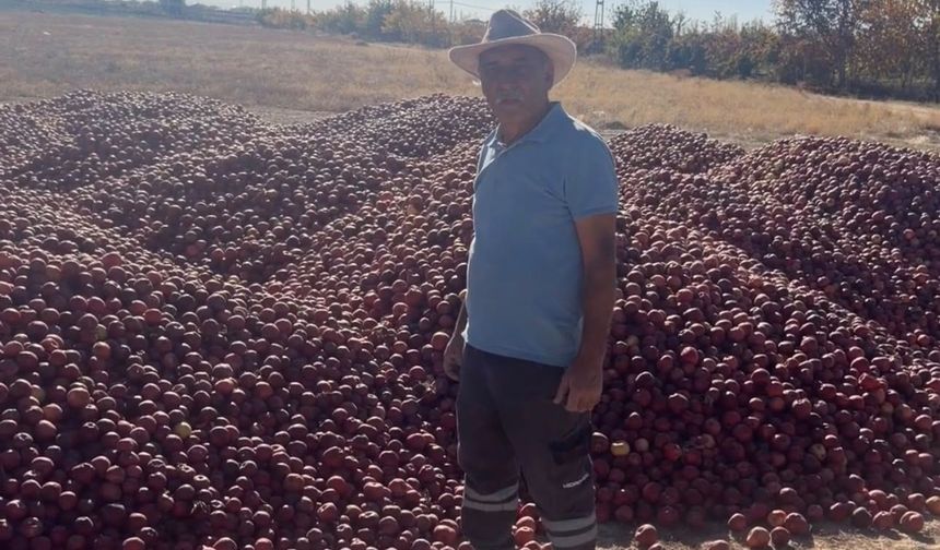 Niğde’de elma üreticisi bahçesini söküyor